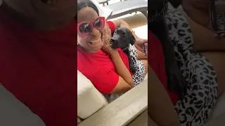 Our daughter Nicole & her partner Mark got a new puppy 🐶 #jeriandmike