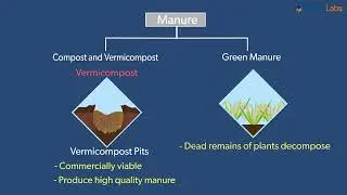 Class-9-Science-Ch-15-Improvement In Food Resources-Topic-Crop Production Management Nutrient