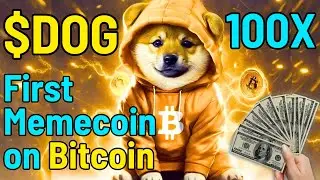 Pay Attention to DOG coin on Bitcoin. Here's Why?