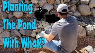 Building Front Yard Aquascape Fully Planted Koi Pond!! (Part 4) - How to Plant the Pond.