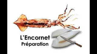 25 Pr&eacute;paration d'Encornet 2