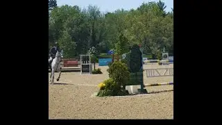 The EQUESTRIAN 🤠 #centeronme22 #viral trending #shorts