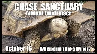 The Chase Sanctuary Fundraiser