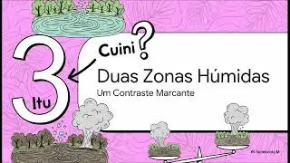 Video feito por IA sobre: Belger et al 2011. P&acirc;ntanos n&atilde;o s&atilde;o os vil&otilde;es como o video deu a entender!