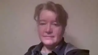 Virtual Profit System Testimony