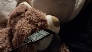 Poosheen and bunny meets puppet