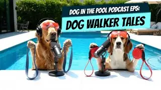 Funny Dog Podcast: Golden Retriever & Beagle Roast Dog Walkers
