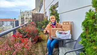 Весенняя поставка луковиц цветов 2026 года | Что я сажаю в своём саду на балконе