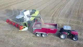 Moisson LEXION 650 [DRONE]