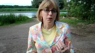 Finishing What You Start..Susan Smith Nash, Ph.D. your guide. Dave Feiden video