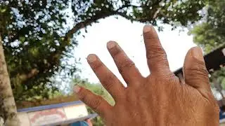 Mathematics --Number counting from primitive stage, by Durga Rani Dey23.2.2025