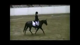 Amanda Haines 2013 Equestrian Recruiting Dressage Video