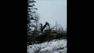 Feller Buncher Forestry Equipment setting track speed for new owner