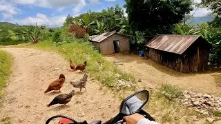 “ESTO ES LO QUE NADIE TE MUESTRA DEL CAMPO DOMINICANO 🇩🇴👀”