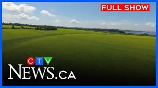Precipitation in Sask. has varying impact on crops | CTV News Regina at Six: Aug 14, 2025