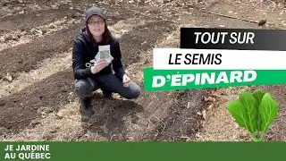 Guide complet sur la culture de l'&eacute;pinard