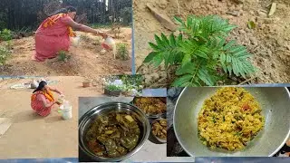 ফ্রাইড‌ রাইস ফুল বাগানের সার প্রয়োগ আর মৌরলা মাছের গ্রাম্য রান্না@DDSvlog-1 