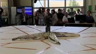 LightSail 2 Test