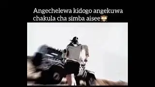 Angechelewa kidogo simba angemtafuna | Prey 2007