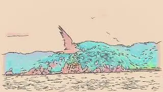 wind wind-TEEZVA