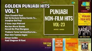 ਸੁਨਹਿਰੀ ਪੰਜਾਬੀ ਗੀਤ | Amar Noorie Songs | Chan Chandni Raat