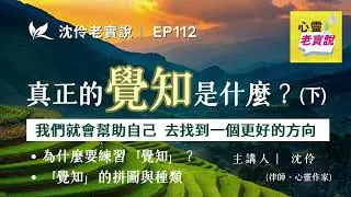 EP112｜真正的「覺知」是什麼？下｜沈伶老實說 沈伶
