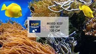 Hoe sluit je de 120cm Mixed Led Set van HVP aqua aan?