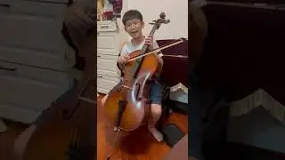 Ansel 5D23中絃大提琴