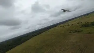 dji avata 2 и сокол