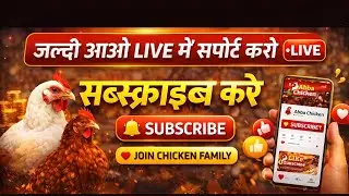 👉 Chicken business ke liye useful tips 