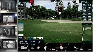 gspro copperhead tips r1 (-1)