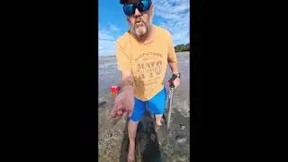 Yabbie Pump