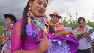 LOS PRIMOS DE COLLOMA