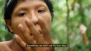 IB English FOA 