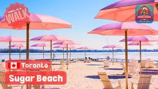 Toronto 🇨🇦 | SUGAR BEACH 🏖️ Chill Walk 🚶 | June 2025 | 4K #toronto #canada #ontario #beach #walking