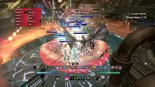 vHOF hm final boss warden heal pov [DL]