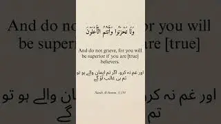 Have You Reflected on This Quran Verse?