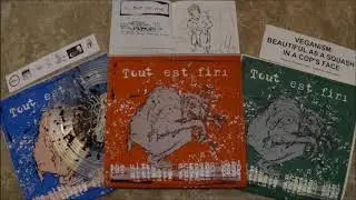 THE ULTIMATE SCREAMO BAND - 'Tout est fini' (full 10
