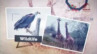 Kenya Tourism Board C.E.O. June Chepkemei Speaks On The Ongoing TembeaKenya Photography Contest