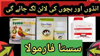 best vitamins calcium / multi vitamins calcium for bird / love bird / budges / bajri / java /finch /