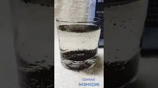 100% PURE GARDEN FRESH ASSAM TEA