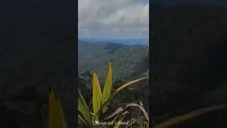 perjalanan trans papua Barat