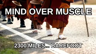 The Science of Endurance: 2,300 Miles with Monks and Aloka the Peace Dog