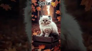 Adorable & Funny Animals Compilation 🐾 | ZooZoom Shorts