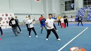Мастер-класс по синъицюань в Федерации ушу России/ All Russian xingyiquan seminar/俄罗斯全国形意拳培训班
