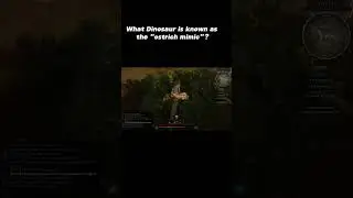 Lets test your dinosaur know how!