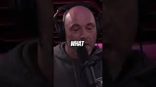 Trump calls reporter LIGHTWEIGHT for disrespecting the President #jre #joerogan #podcast #viral