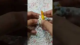 hunting hewan mainan dalam butiran styrofoam #hewan  #shorts #animal #foryoupage
