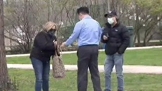Results of investigation after CBS 2 bought empty COVID-19 vaccine vials