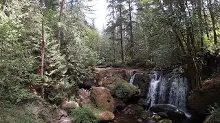Whatcom Falls Park - Bellingham, Washington, United States
